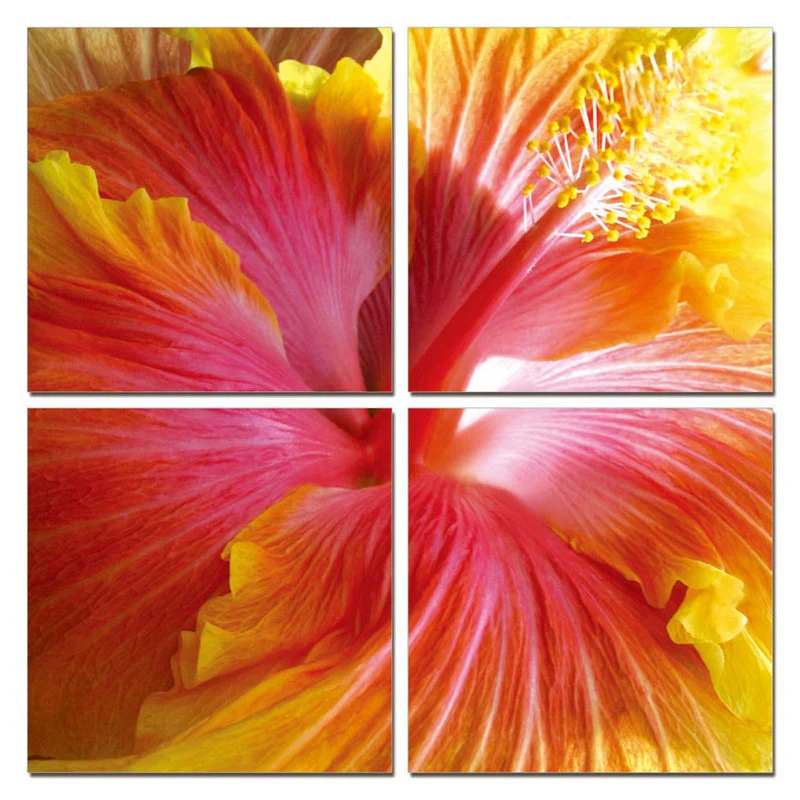 24" Multicolor Canvas 4 Panels Hibiscus Photo By Homeroots
