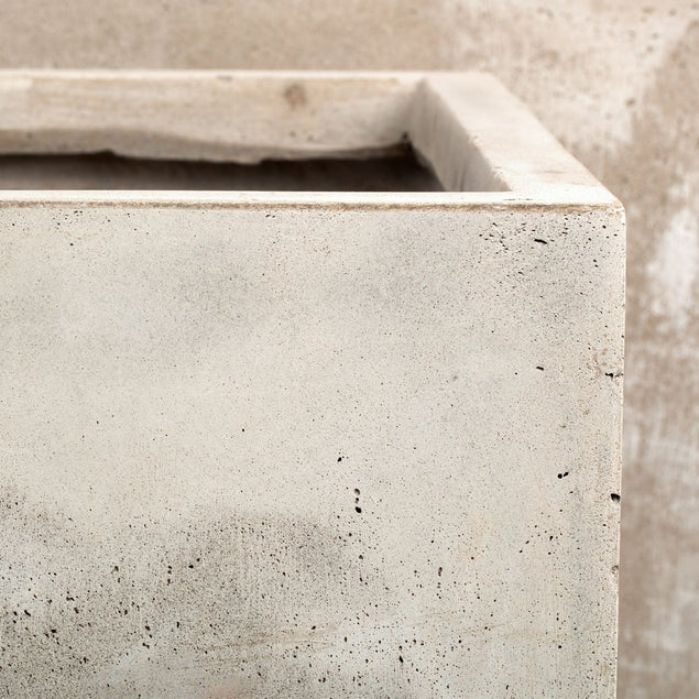Birch Poles W/ Pivot Wall Play In Urbano Rectangle Planter, Lg By Gold Leaf Design Group - Image 3