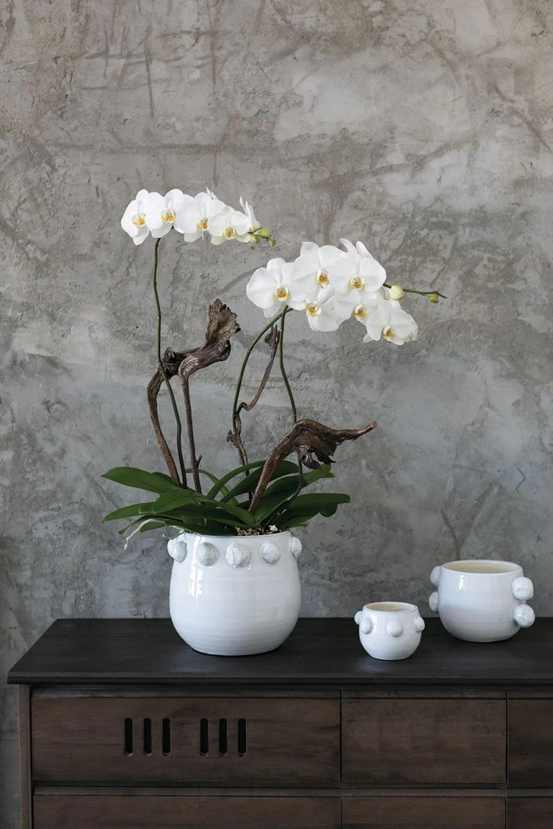 Fem Rosa Collection Set Of 4 By Accent Decor