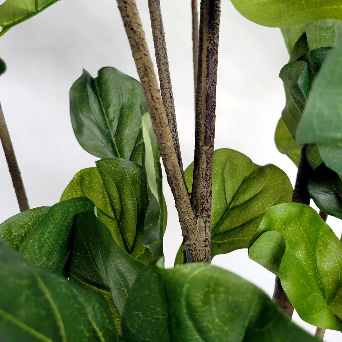 Fiddle Leaf Tree in Harmony Planter MD By Gold Leaf - Image 4