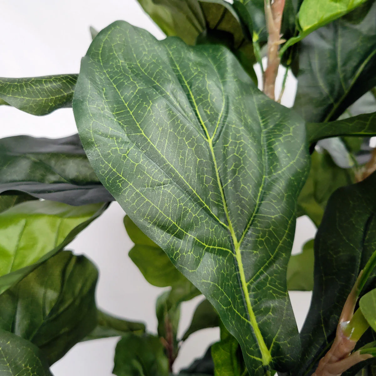 Fiddle Leaf Tree in Harmony Planter MD By Gold Leaf - Image 5