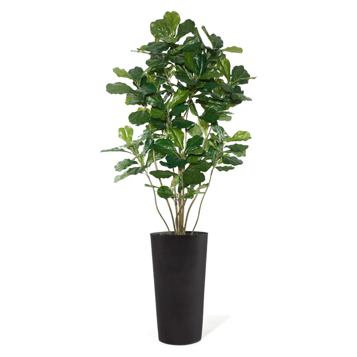 Fiddle Leaf Tree in Harmony Planter MD By Gold Leaf - Image 6