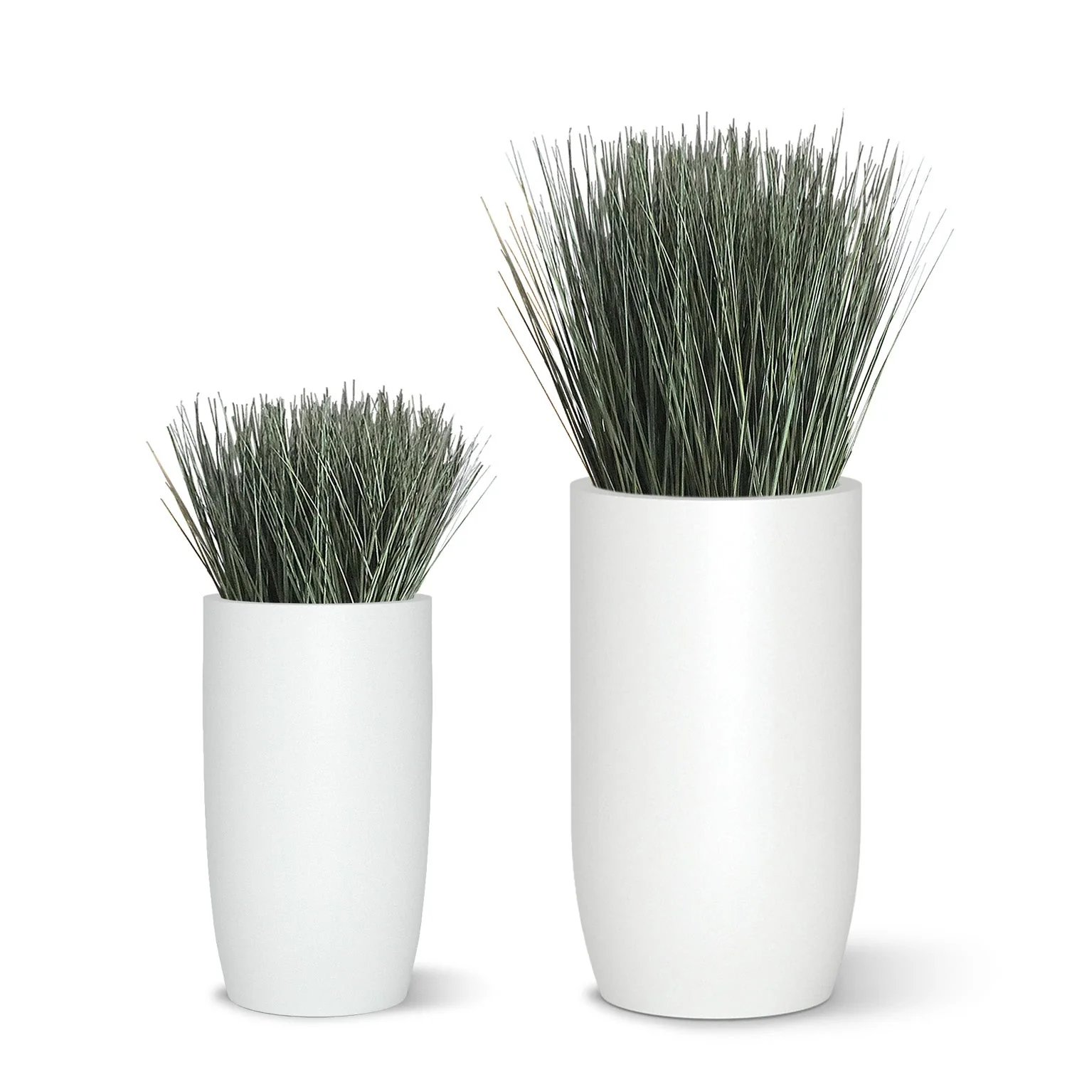 Grass: Cortada Grass in Barrel Planter MD, White Satin By Gold Leaf - Image 3