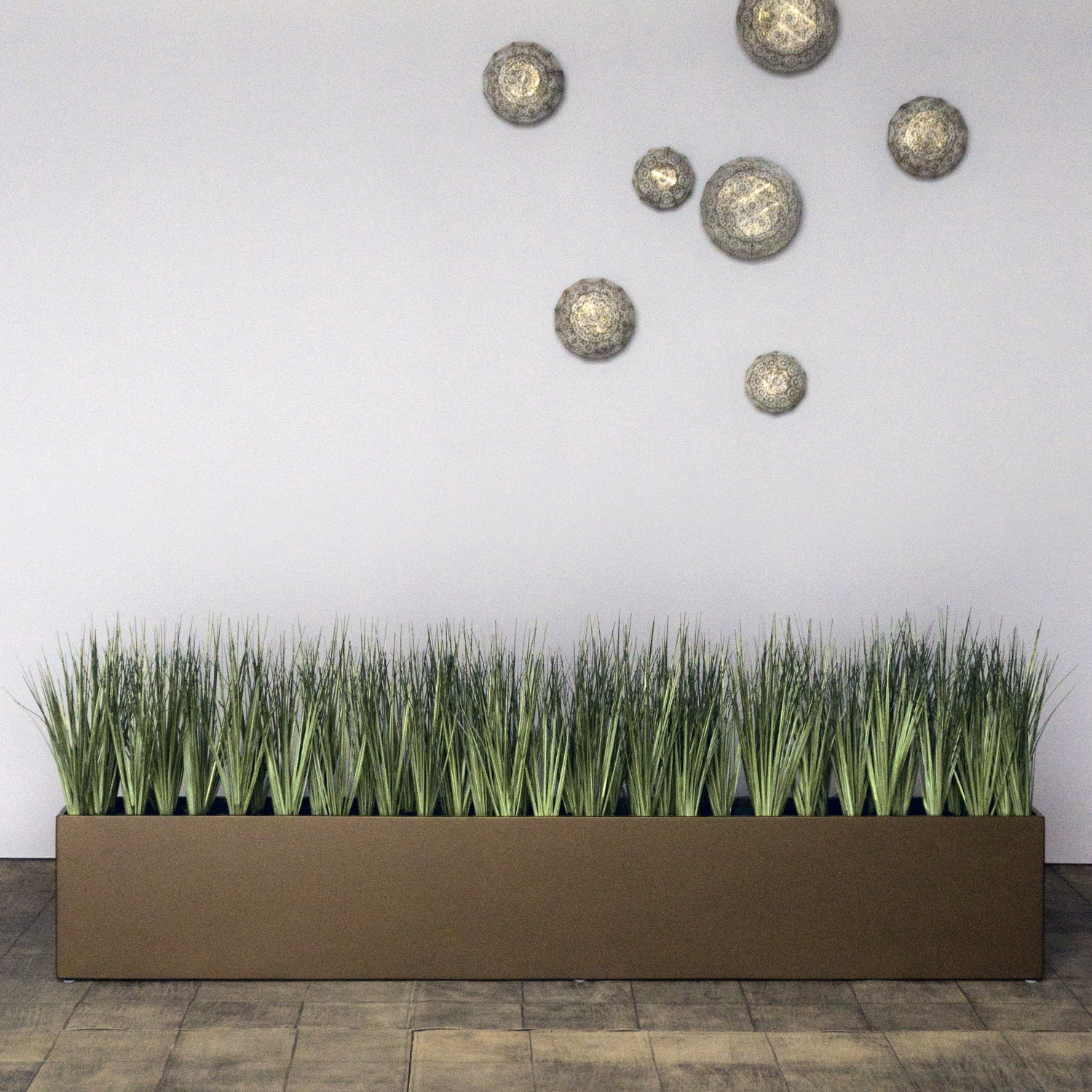 Grass: Cortada Grass in Custom Rectangle Bronze Black Planter By Gold Leaf