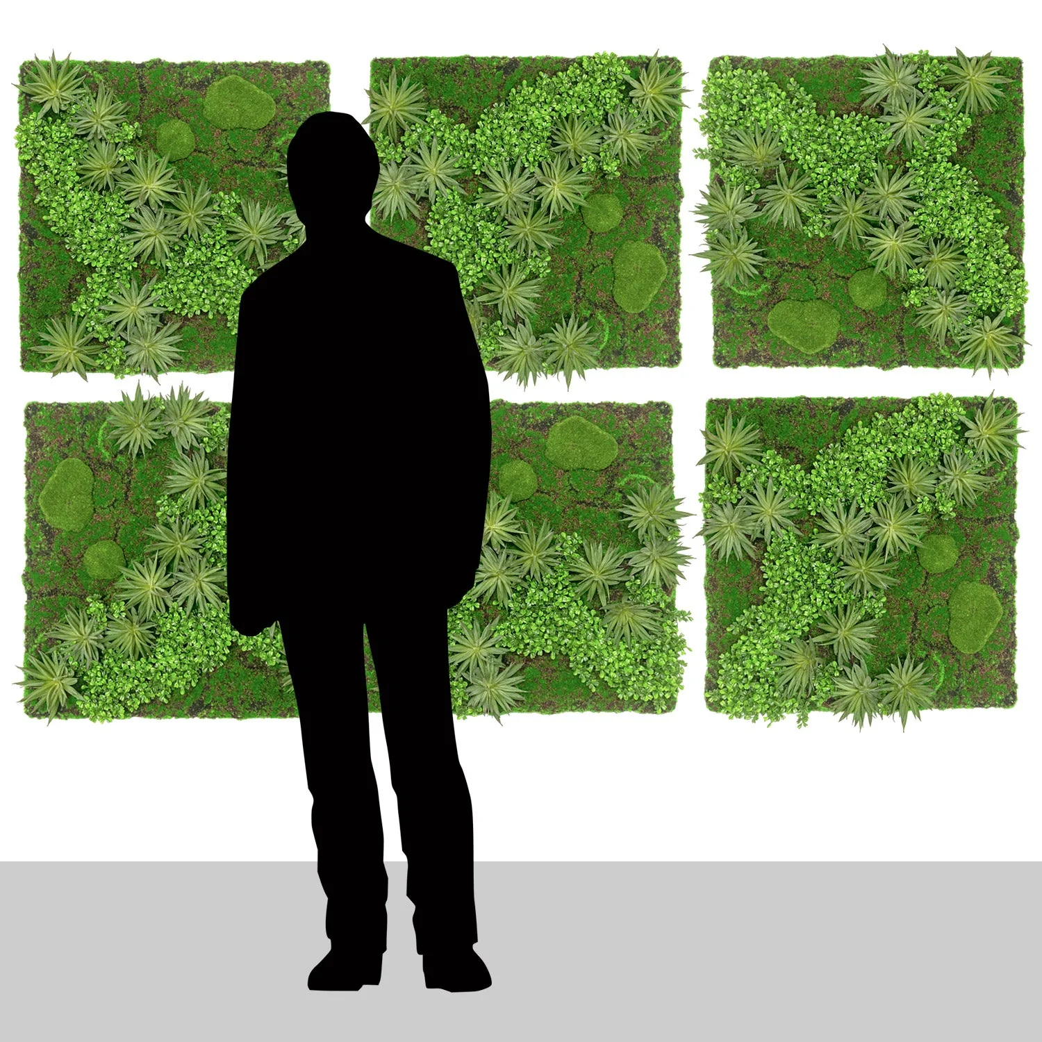 Green Wall, Boxwood & Mini Yucca 24.5"SQ By Gold Leaf - Image 6