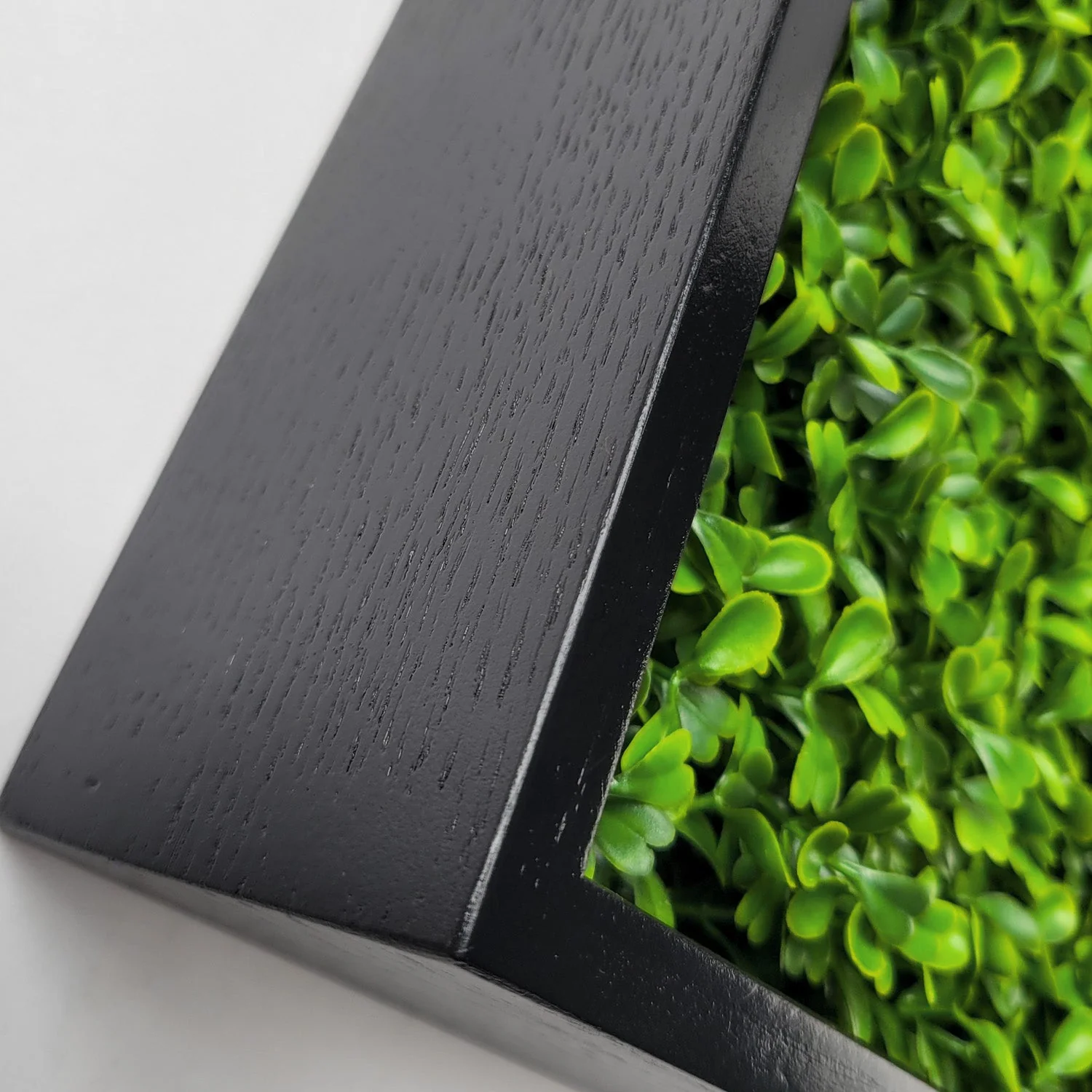 Green Wall, Mini Boxwood 1 By Gold Leaf - Image 2