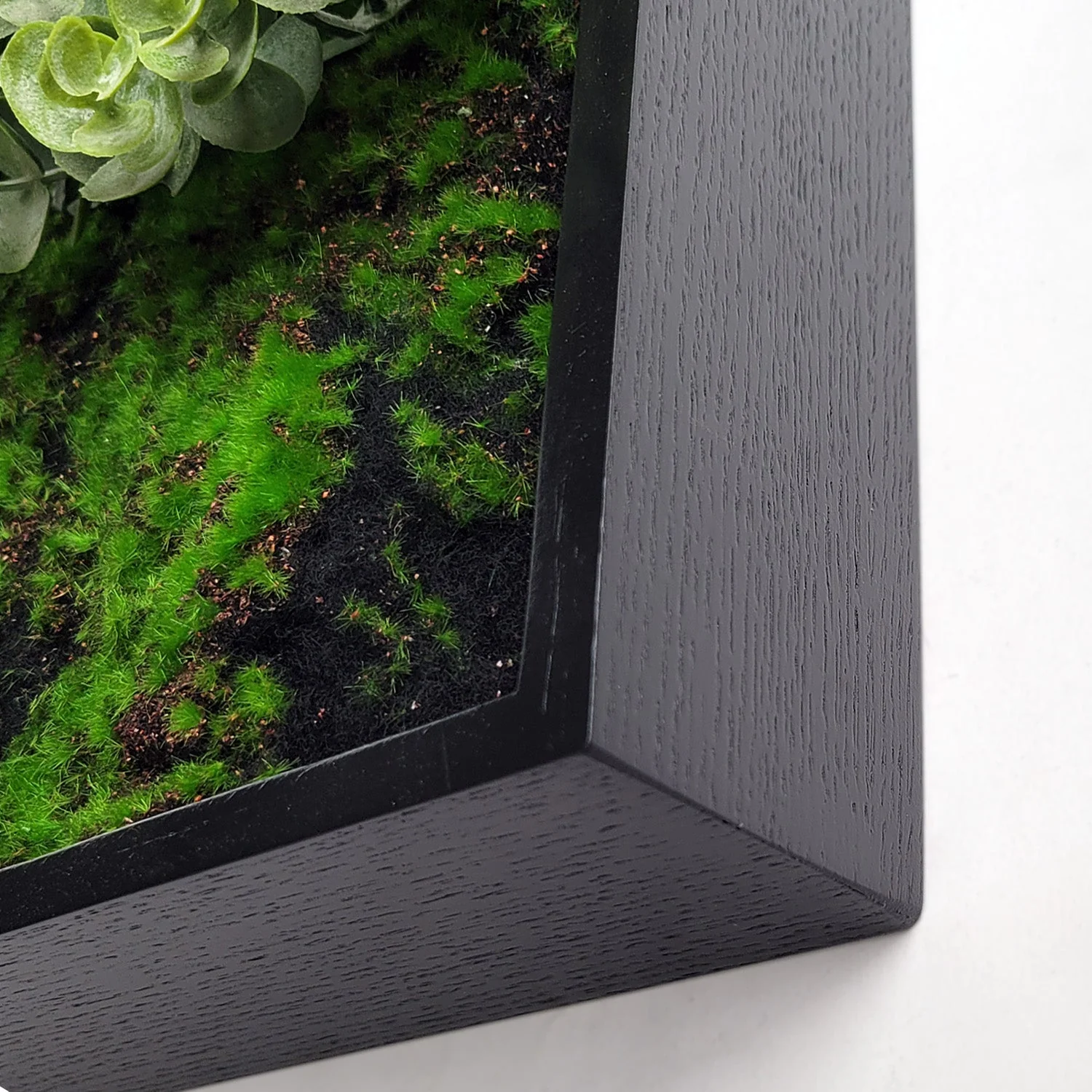Green Wall, Mini Eucalyptus 1 By Gold Leaf - Image 3