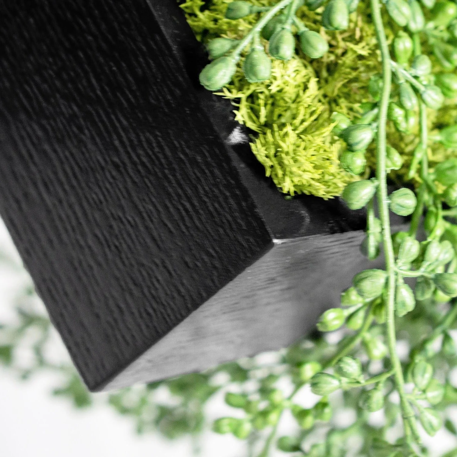 Green Wall, Mini Fern & Sedum Pearls 1 By Gold Leaf - Image 6