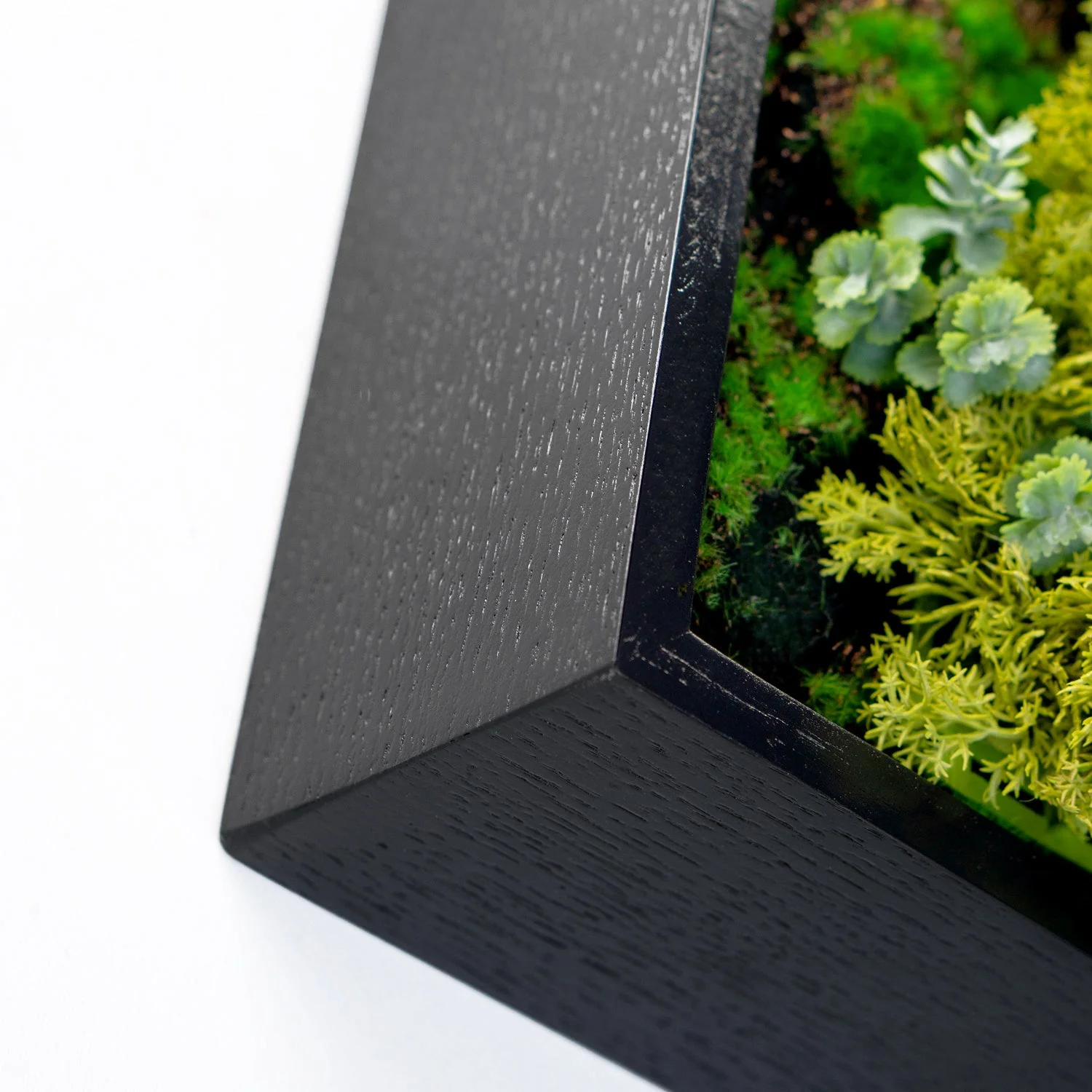 Green Wall, Mini Texture Mix 5 By Gold Leaf - Image 2