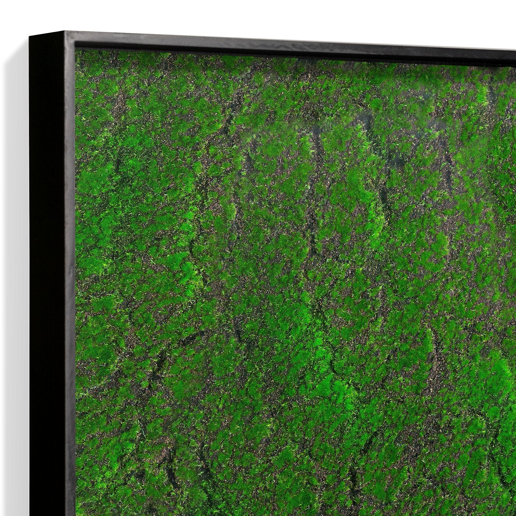 Green Wall, ‘New Moss Square’ By Gold Leaf - Image 3