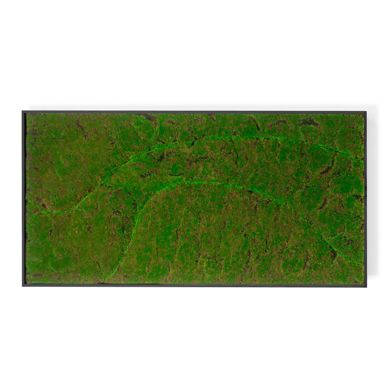 Green Wall, ‘New Wave A’, Satin Black Hardwood By Gold Leaf - Image 4
