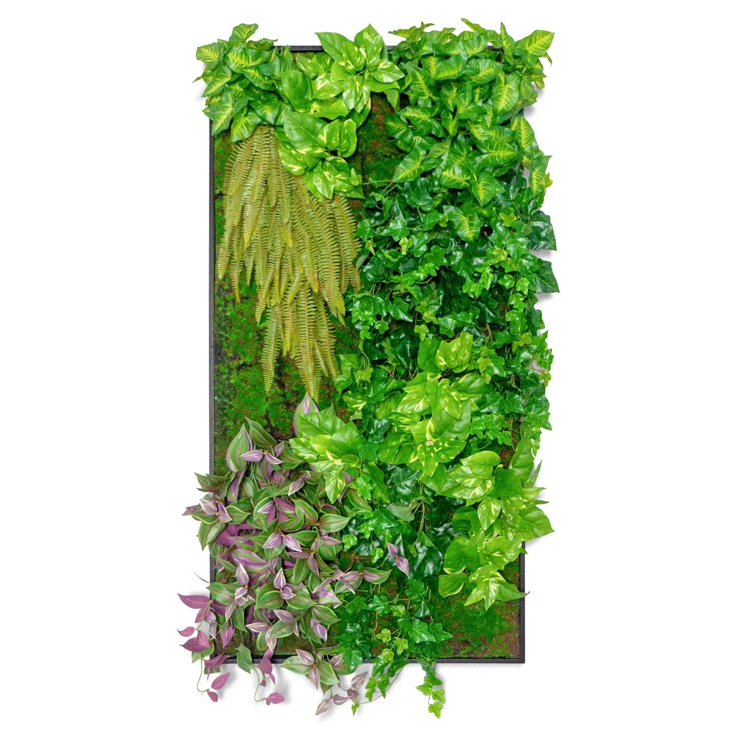 Green Wall, Trailing Mix #1 By Gold Leaf