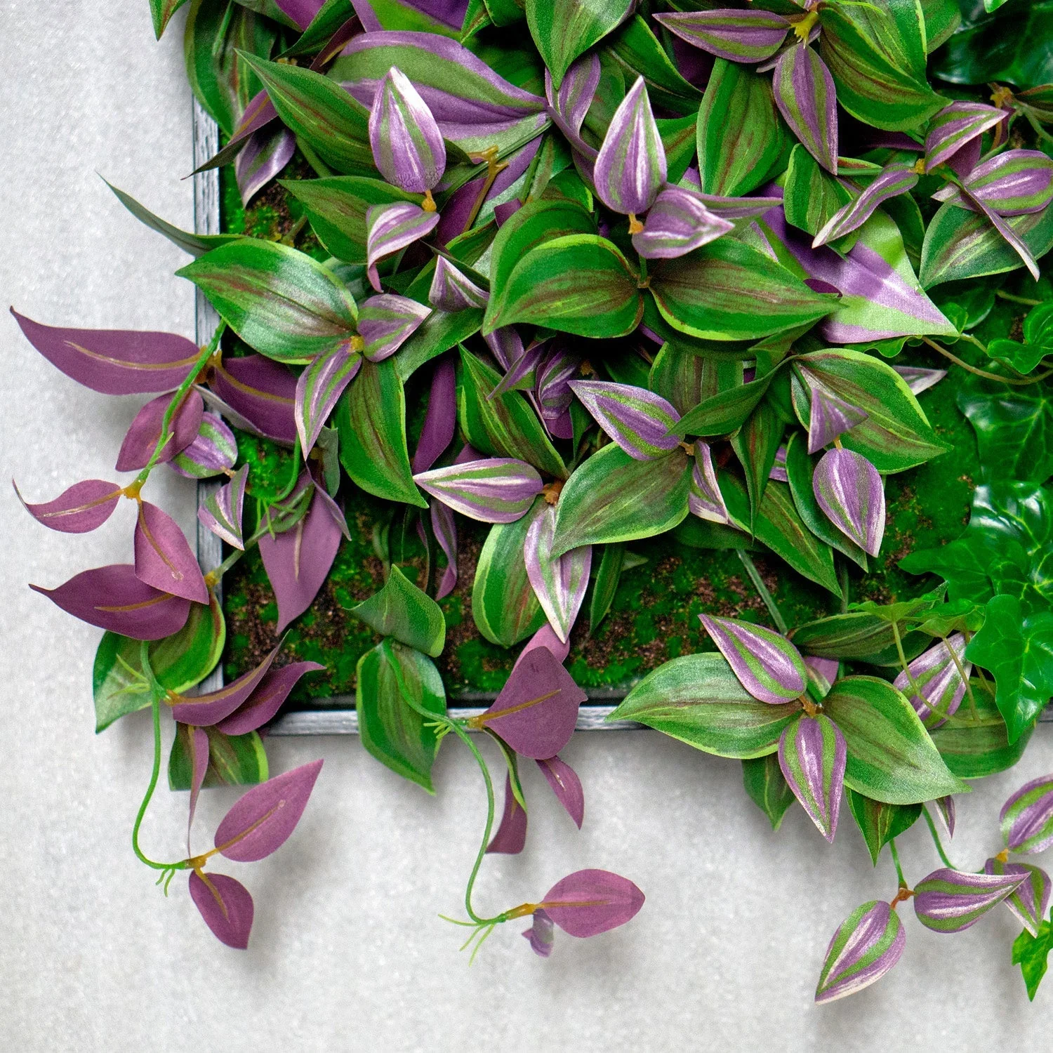 Green Wall, Trailing Mix #1 By Gold Leaf - Image 2