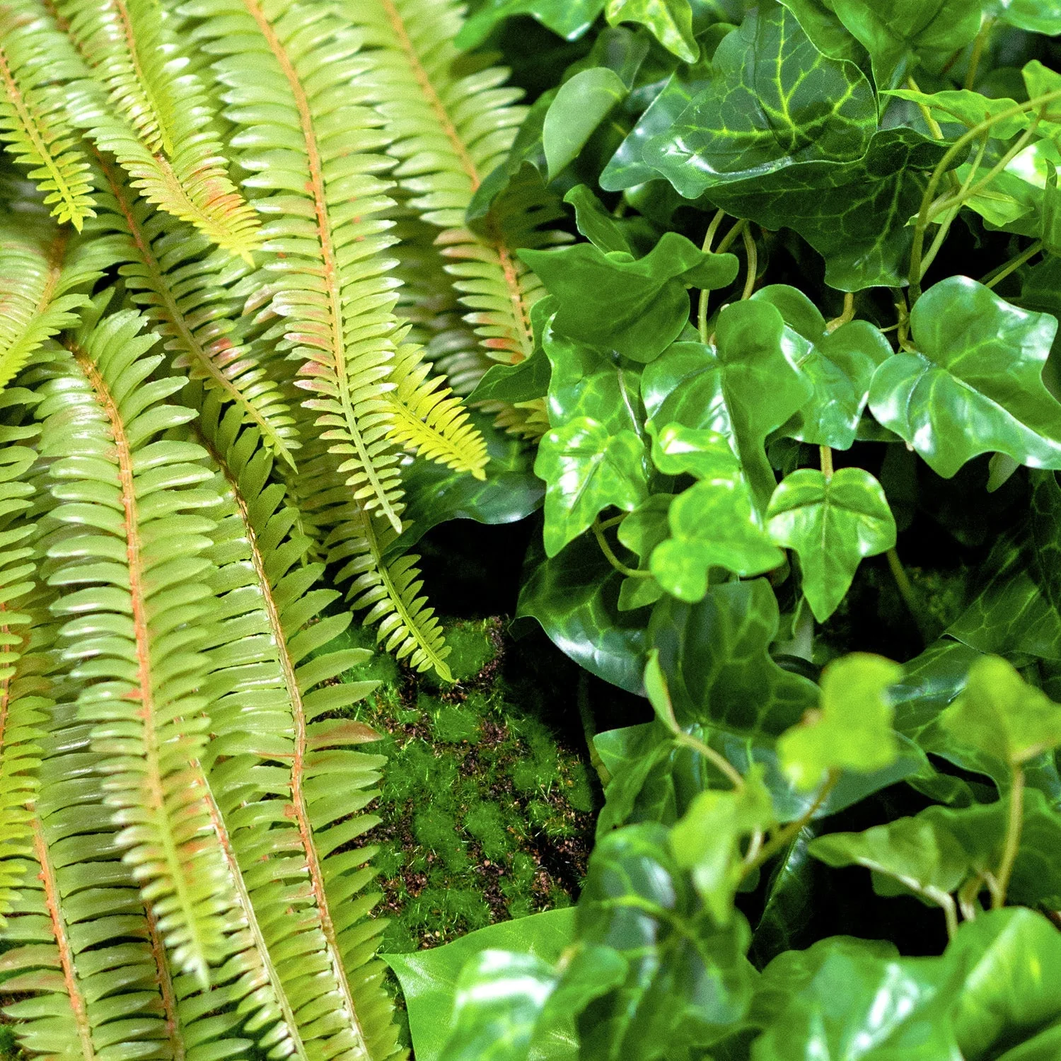 Green Wall, Trailing Mix #1 By Gold Leaf - Image 4