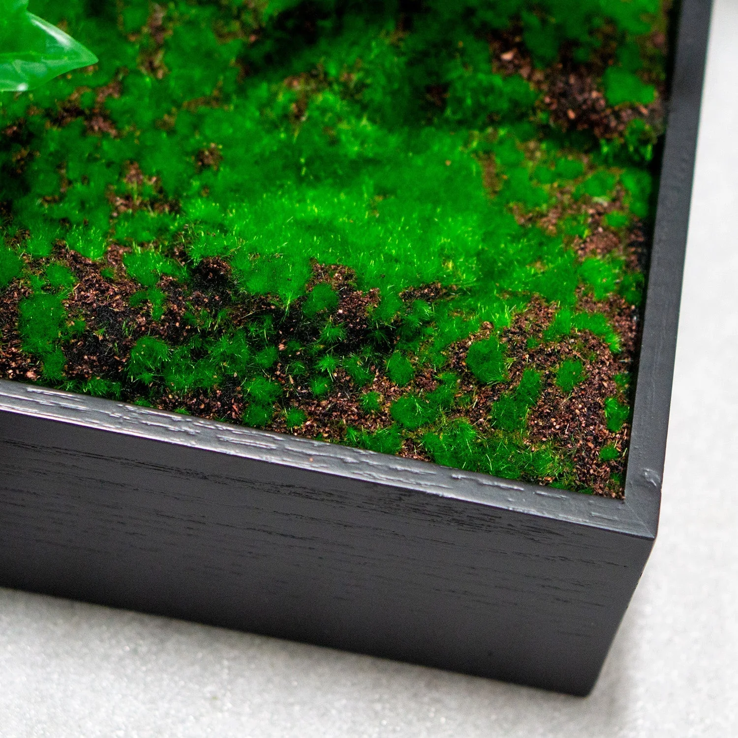 Green Wall, Trailing Mix #1 By Gold Leaf - Image 5