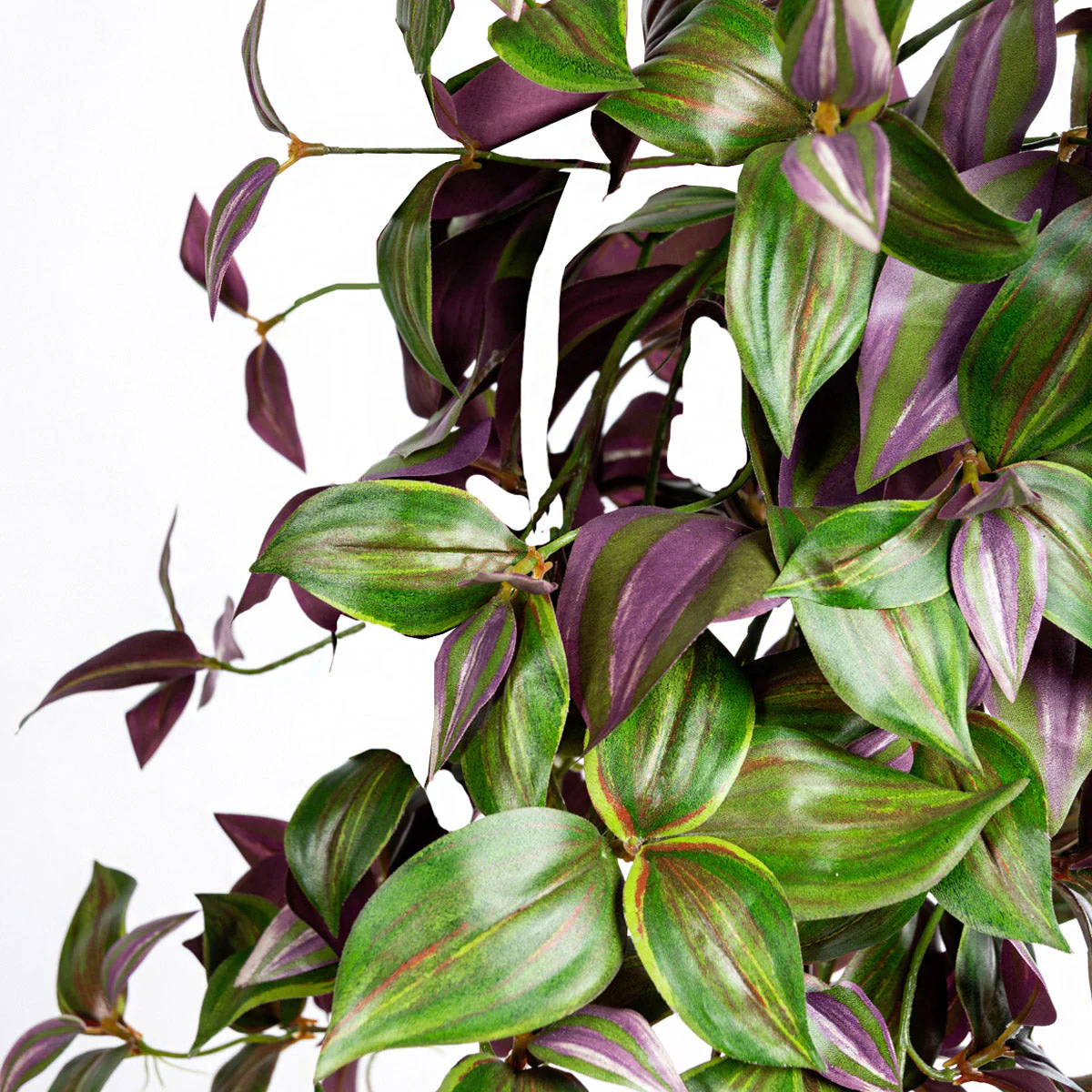Green Wall, Trailing Mix #1 By Gold Leaf - Image 6