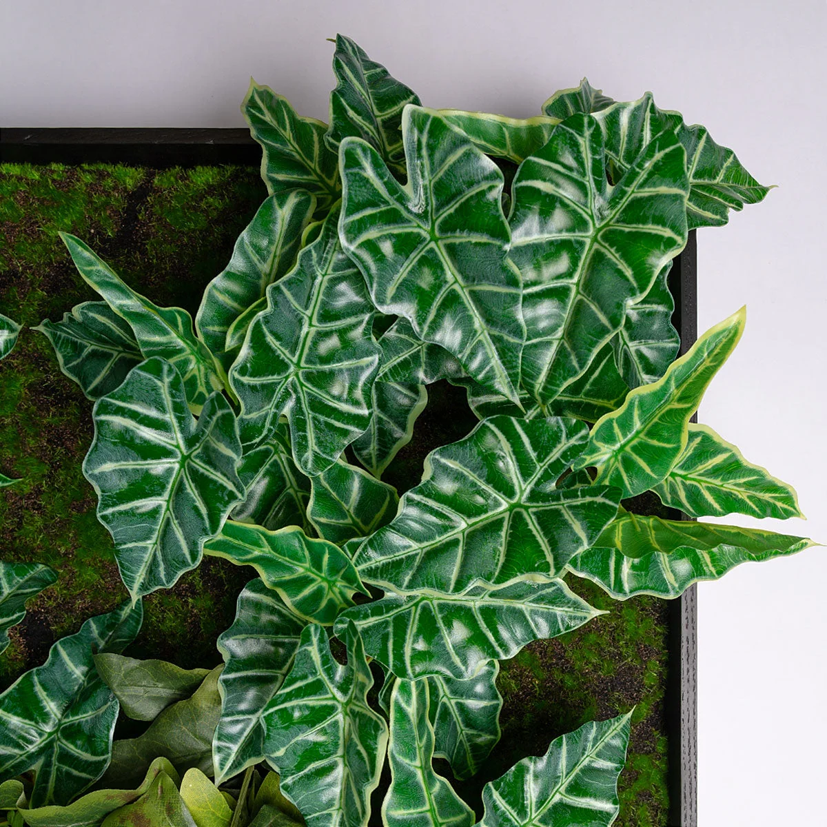 Green Wall, Trailing Mix #2 By Gold Leaf - Image 2