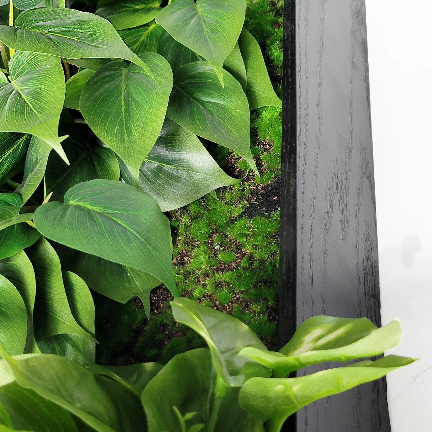 Green Wall, Trailing Mix #3 By Gold Leaf - Image 4