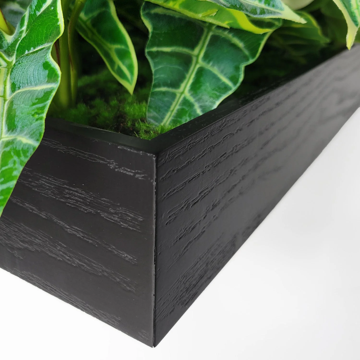 Green Wall, Trailing Mix #3 By Gold Leaf - Image 5
