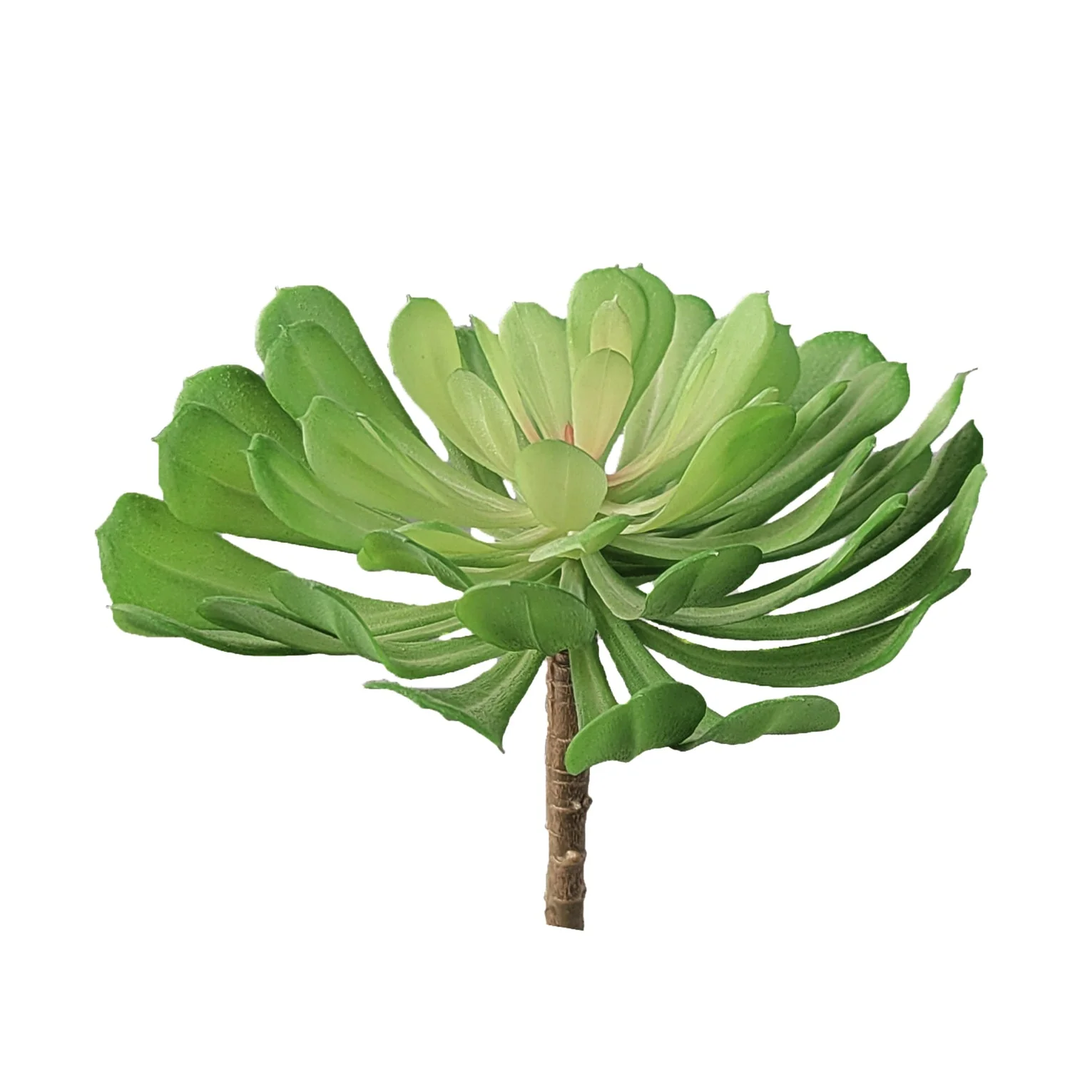 Green Wall, 'Wave Succulent 1' By Gold Leaf - Image 7