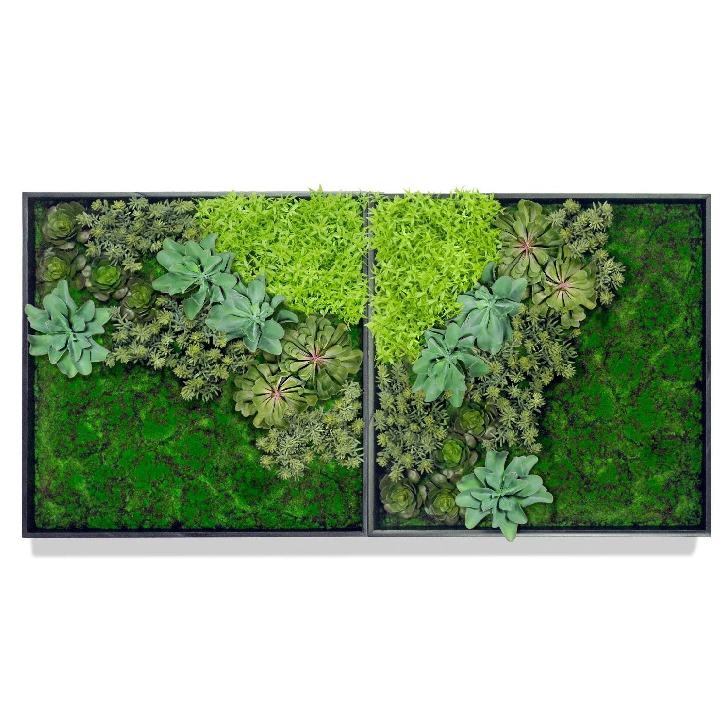 Green Wall, 'Wave Succulent 2' By Gold Leaf