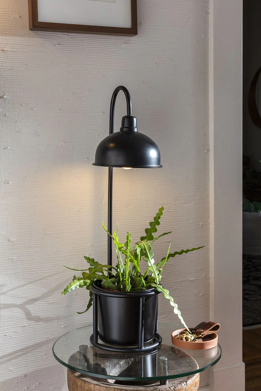 Kira Grow Light Plant Stand 8" x 28" By Accent Decor