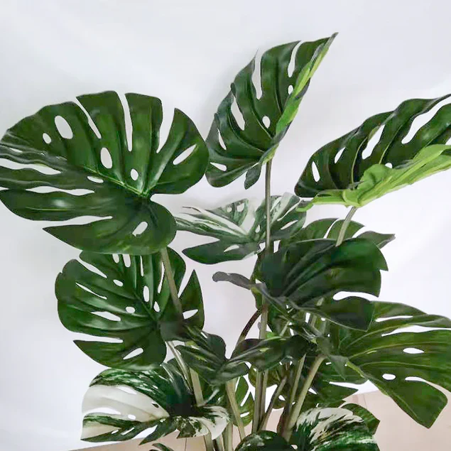 Monstera in Urbano Flared, LG By Gold Leaf Design Group - Image 3