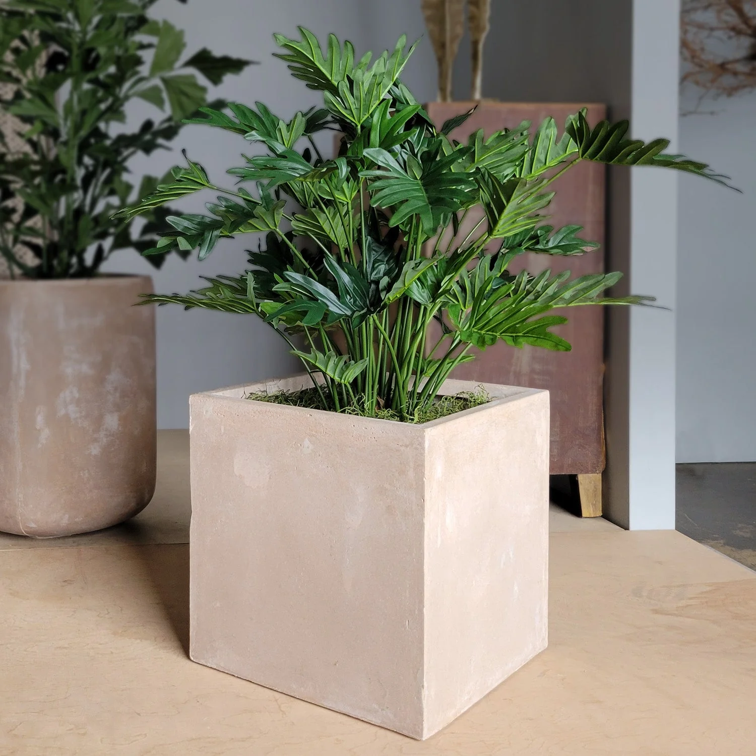 Philodendron 38”H in Square Urbano, SM By Gold Leaf - Image 2