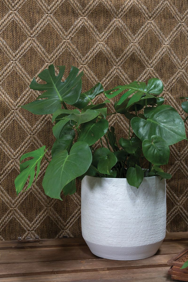 Ray Pot By Accent Decor - Image 3