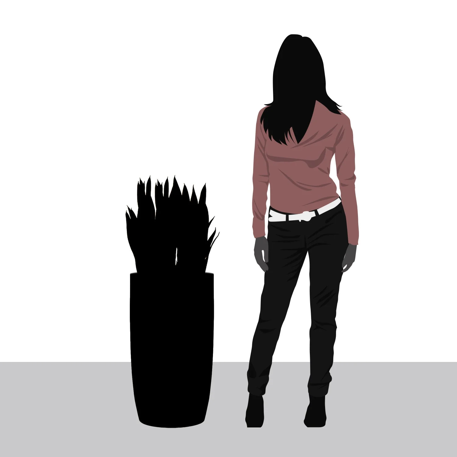 Sansevieria in Barrel Planter SM, Brown DK Satin By Gold Leaf - Image 2
