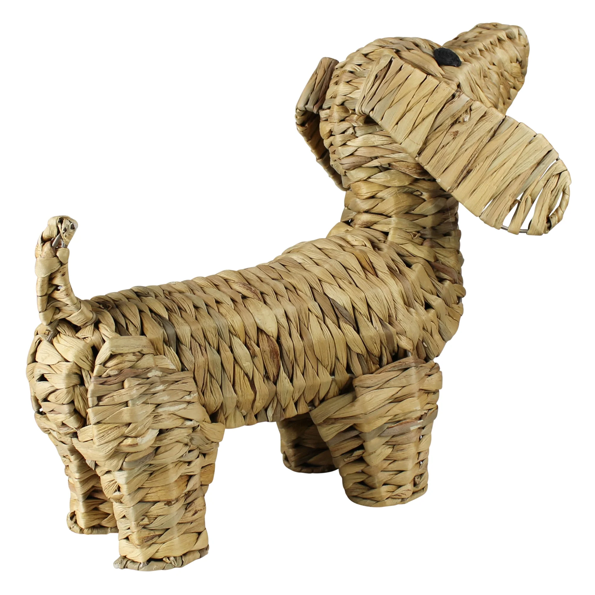 Standing Dog, Water Hyacinth By HomArt