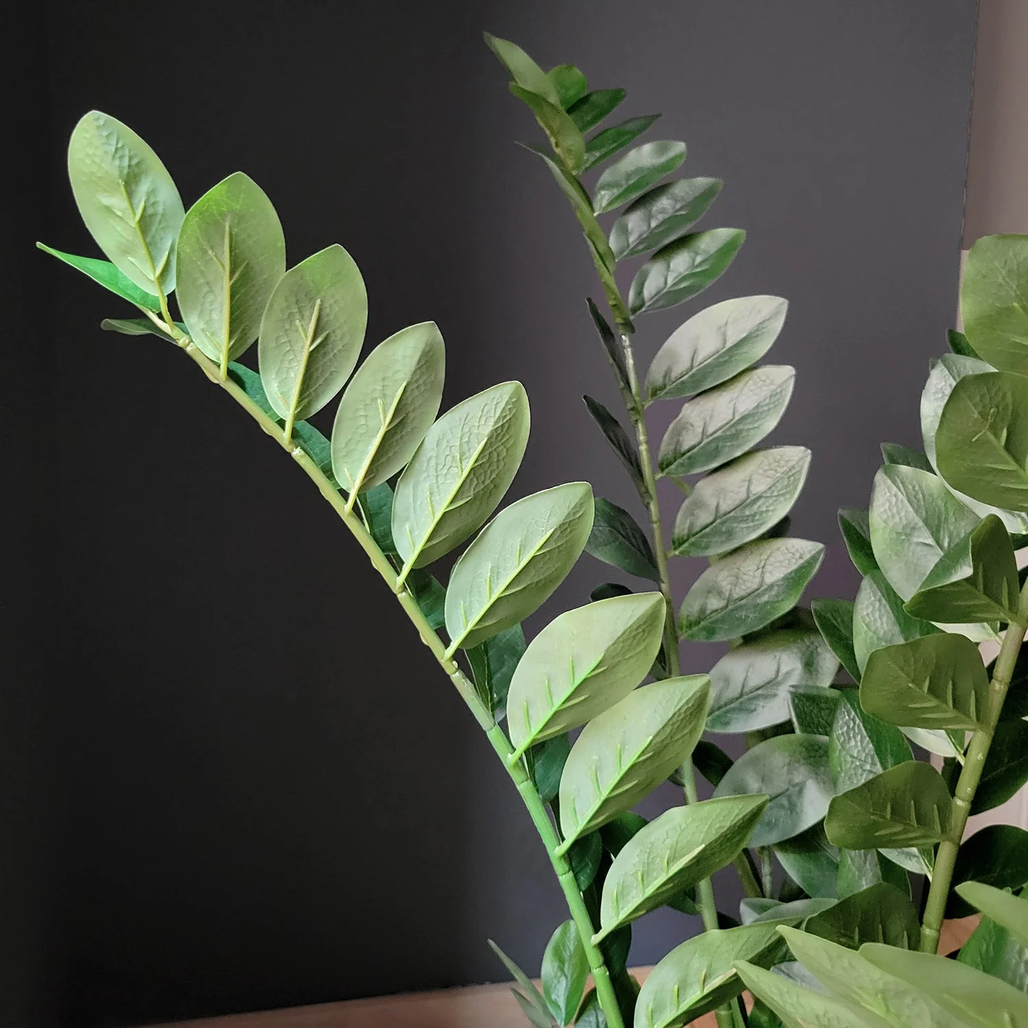 ZZ Plant in Barrel Planter SM, Brown DK Satin By Gold Leaf - Image 5