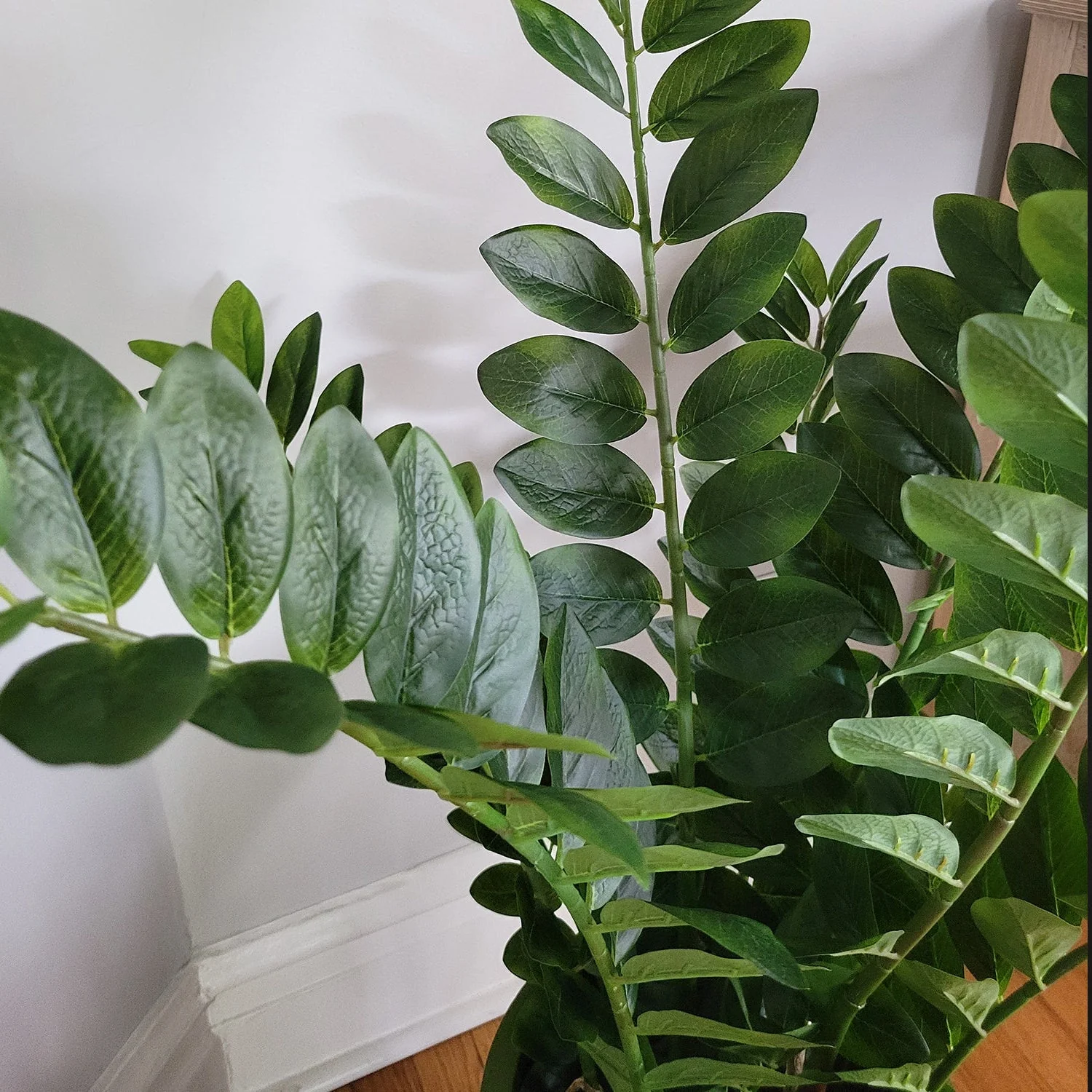 ZZ Plant in Harmony Planter SM, Grey Matte By Gold Leaf - Image 3